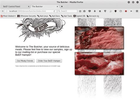 Username and Password for Beef Xss - Kim Wainvis