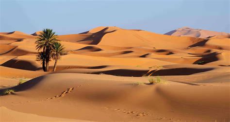 The Secrets Unveiled: Exploring the Enigmatic Sahara Desert - Citard