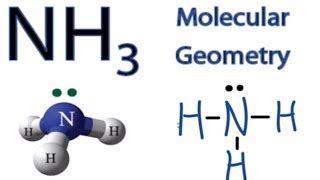 Draw The Lewis Structure For NH3