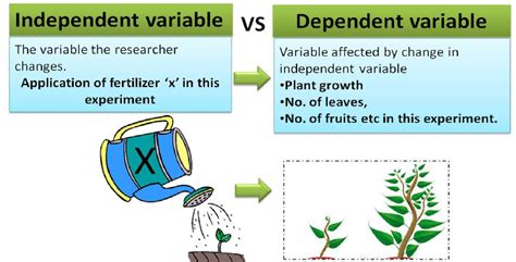 What are dependent and independent variables? - Statistics, Data ...