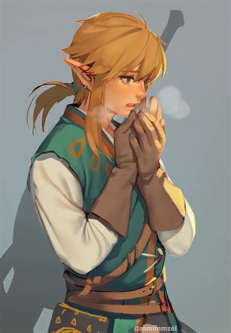 BotW Link fanart | 野生の息吹, イラスト, ゼルダの伝説