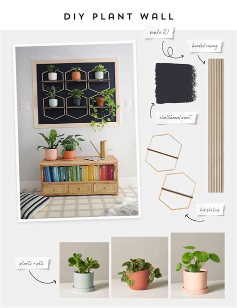 DIY Mini Plant Wall in 4 easy steps — Sunny Circle Studio