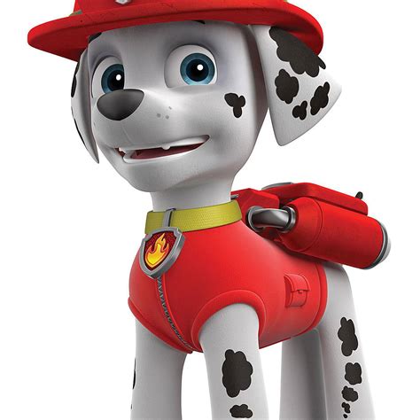 Kids' TV: Meet Your Favorite Paw Patrol Characters