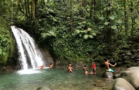 Guadeloupe Nationalpark / Guadeloupe National Park (Basse-Terre ...