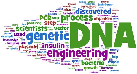 sgugenetics / Genetic Engineering