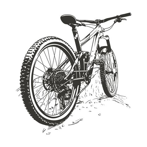 Mountain Bike Vector Art, Icons, and Graphics for Free Download