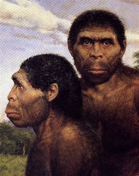 Human Evolution | Early humans history, Human evolution, Evolution