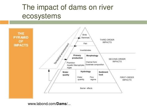 Environmental impacts of hydroelectric power