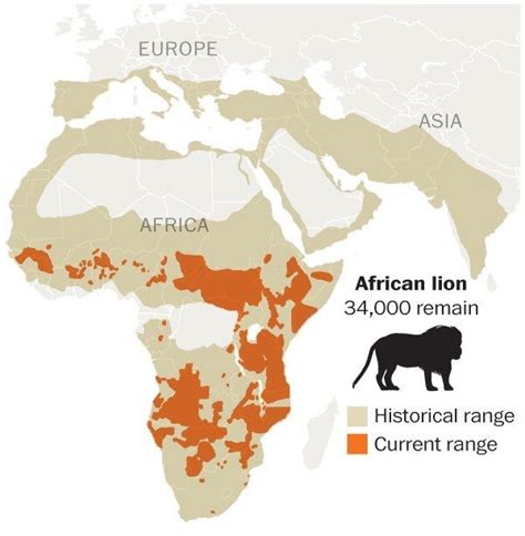 Where Lions Once Lived - And Where They Live Today | Amazing maps ...