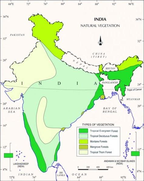 Mangrove forest in India map - Map of mangrove forest in India ...