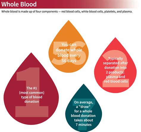 Types of Blood Donations – Stanford Blood Center