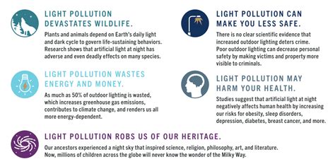 How light pollution harms the planet and what to do about it | World ...