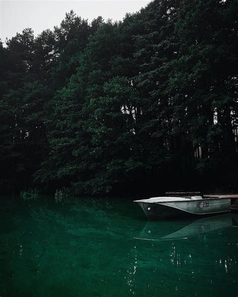 White Canoe Near Trees · Free Stock Photo