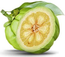 Garcinia Cambogia Extract – What You Need To Know • MyHeart