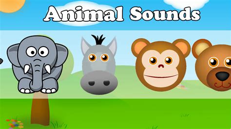 Animal sounds