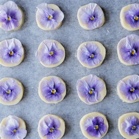 Edible Flower Cookies | Recipe | Edible flowers, Flower cookies, Edible ...