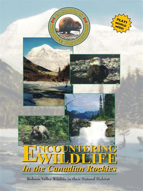 Prime Video: Encountering Wildlife In The Canadian Rockies