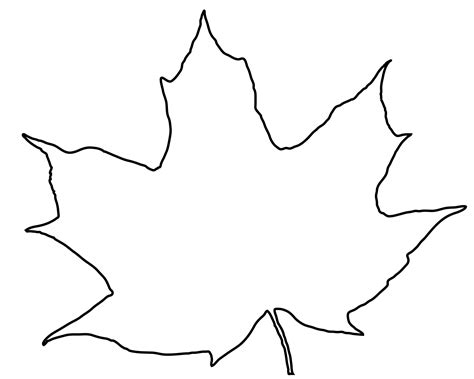 Leaf Outline Drawing