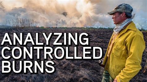 Analyzing Controlled Burn Results | Wildlife Management - YouTube