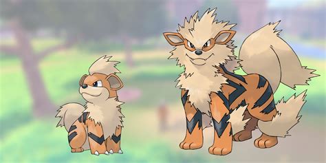 Growlithe Evolution Chart