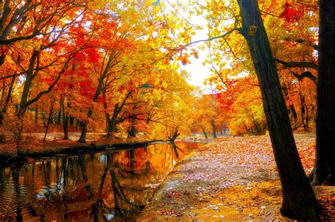 AUTUMN fall landscape nature tree forest leaf leaves wallpaper ...