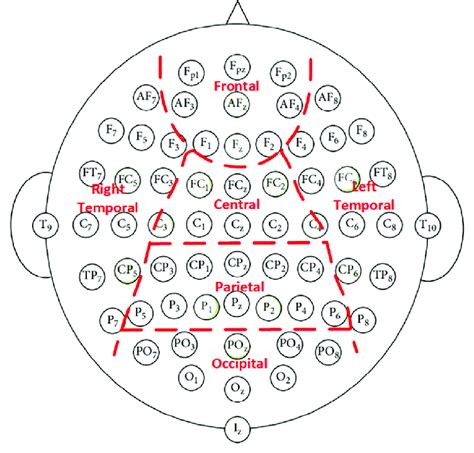 The distribution of EEG electrodes and brain regions. | Download ...