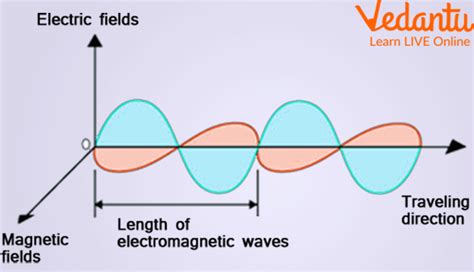 Types of Electromagnetic Waves - Learn Definition, Examples, Facts, Use ...