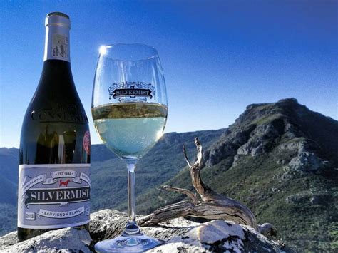 6 Undiscovered Wine Farms in Cape Town and Beyond | Travelstart.co.za