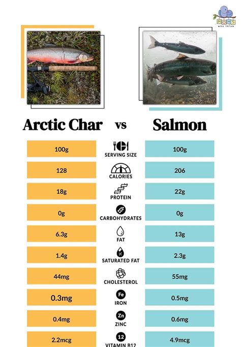 Arctic Char vs. Salmon: Comparison, Nutritional Value, How to Cook Them ...