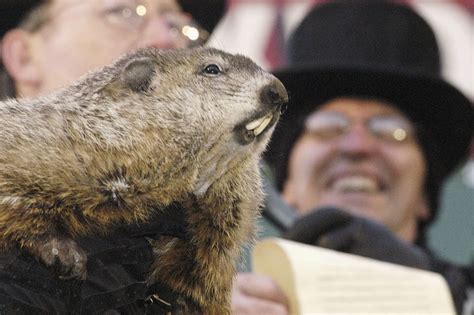 Groundhog Day: The rodent's track record in New Jersey