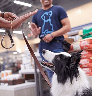 Petco Dog Training & Puppy Training Classes Olathe, KS