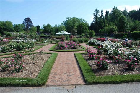 Biltmore Estate Gardens Facts – Beautiful Flower Arrangements and ...