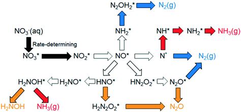 Reduction Reaction Mechanism