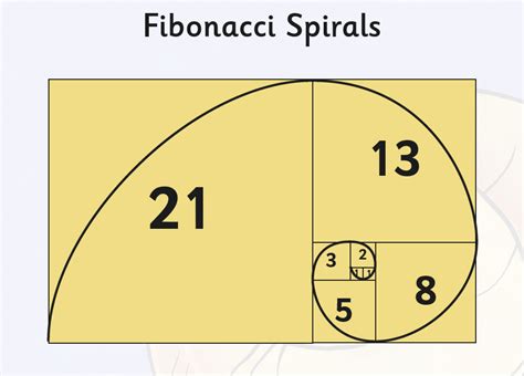 What is the Fibonacci Sequence? Definition and Examples