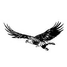 Philippine Eagle Silhouette at GetDrawings | Free download