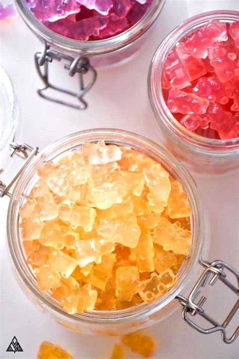 Sugar Free Gummy Bears—A Tummy Friendly, Low Carb Recipe