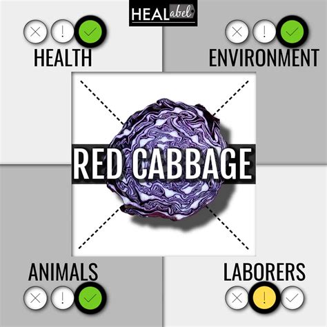 Red Cabbage Benefits, Side Effects: Low Fodmap, Gluten, Acidic?