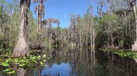 OKEFENOKEE SWAMP STATE PARK GEORGIA USA - YouTube