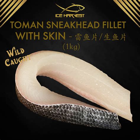 Toman Fish Fillet With Skin 1kg Wild Caught Fresh Frozen 多曼鱼 | Shopee ...