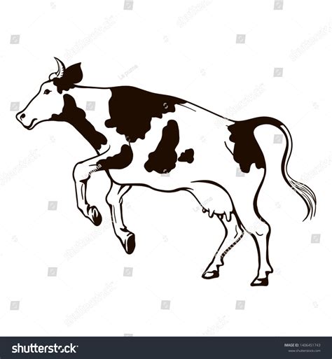 Graphic Drawing Jumping Cow On White Stock Vector (Royalty Free) 1406451743