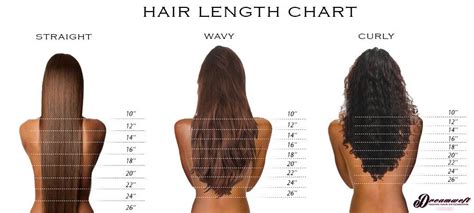 Hair Chart, Hair Length Chart, Weave Hairstyles, Cool Hairstyles ...