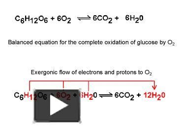 PPT – Balanced equation for the complete oxidation of glucose by O2 ...