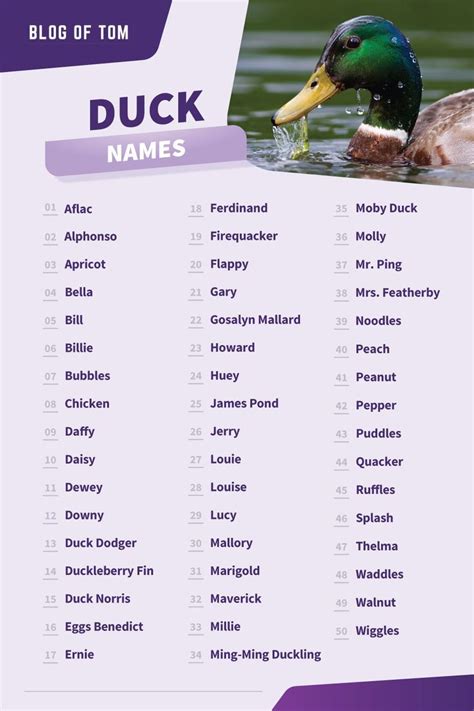 Duck Names (Cute, Cool & Funny Ideas For Males & Females) | Funny ...