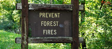 Wildfire Prevention | National General Insurance