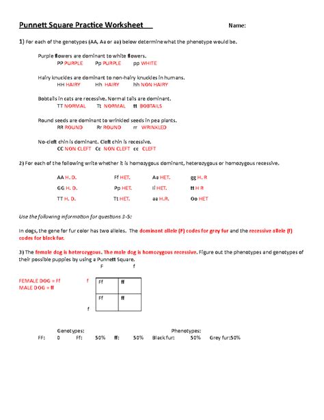 Punnett-Square-Practice-Worksheet Name-KEY-171e0l0 2 - Punnett Square ...