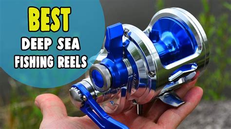 Best Deep Sea Fishing Reels in 2021 – Increase Your Fishing Quality in ...