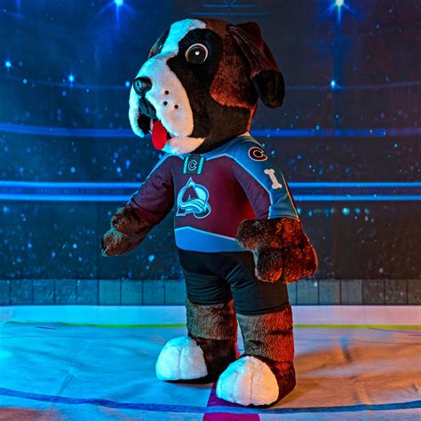 Colorado Avalanche Bernie 20" Jumbo Mascot Plush Figure - Bleacher ...