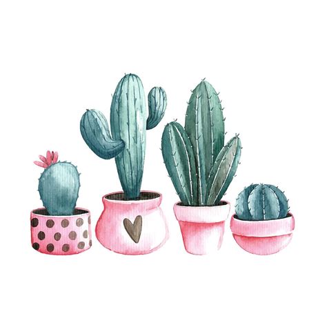 Cactus Drawing by Katharina Hndl