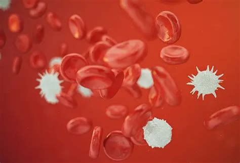 Lymphocytopenia: Causes, Symptoms, Treatment and More