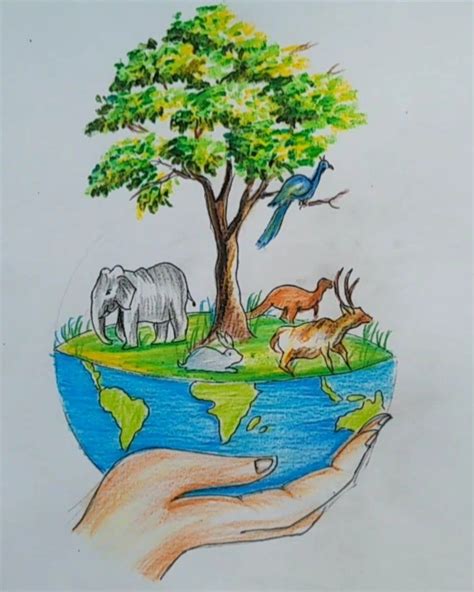 Biodiversity Day drawing / international Biodiversity conservation day ...